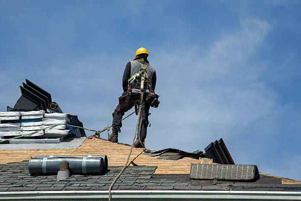 Professional Roof Replacement technician working in Forest City, IL